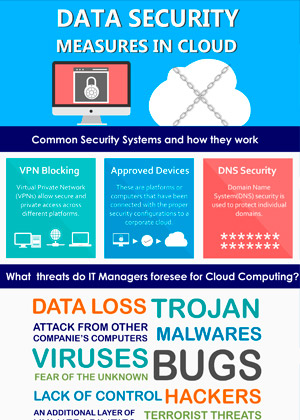 Data Security Infographics