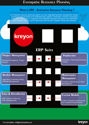 Enterprise Resource Planning Infographics Infographics